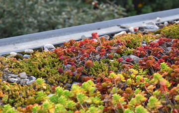 the cost of Sandaig green roof installation