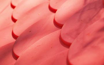 Sandaig plastic roof costs